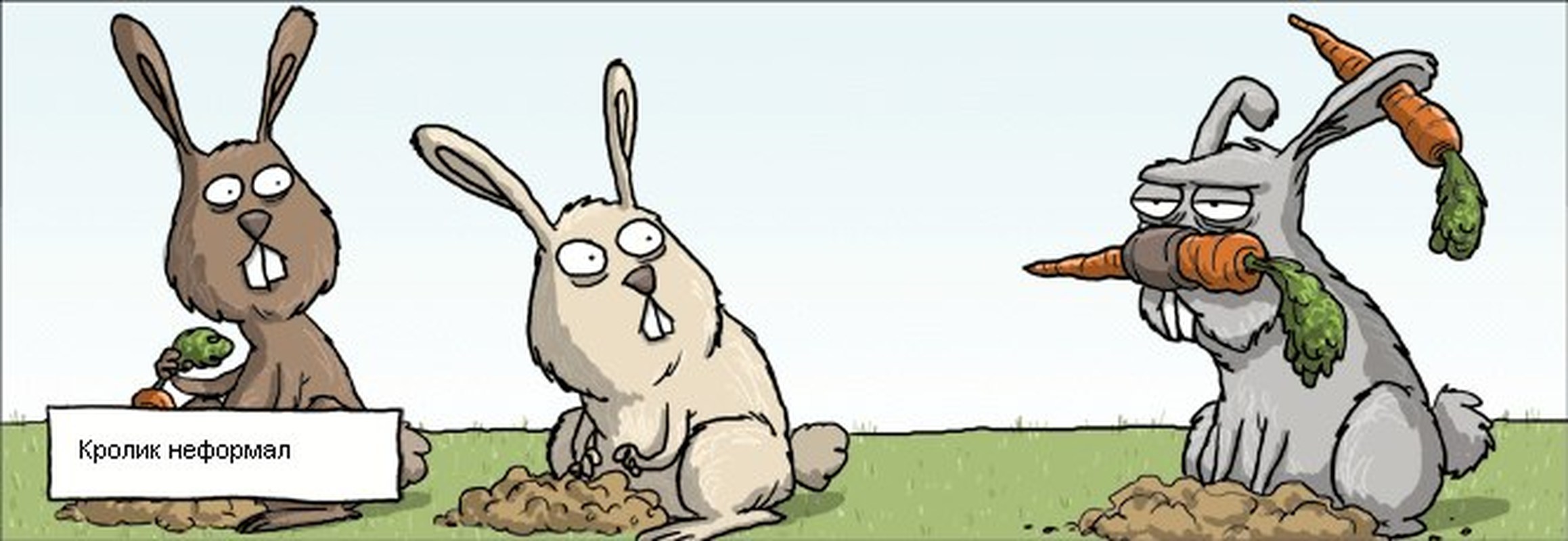 Смешное про зайцев. Кролик карикатура. Смешной заяц. Кролик юмор. Кролик прикол.