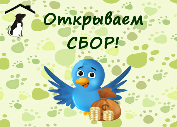 Сбор картинка. Сбор открыт. Открываем сбор картинки. Открыт сбор средств. Открыт новый сбор.