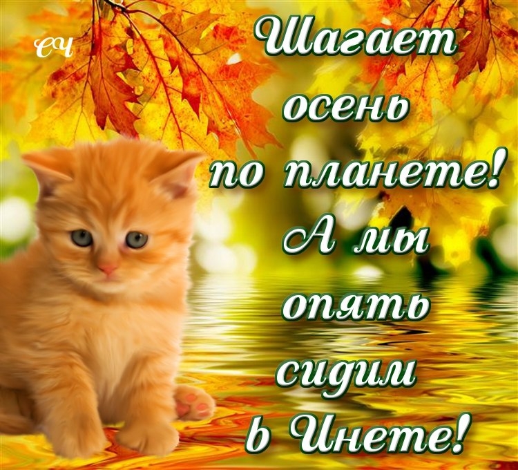 Открытки вот и осень наступила