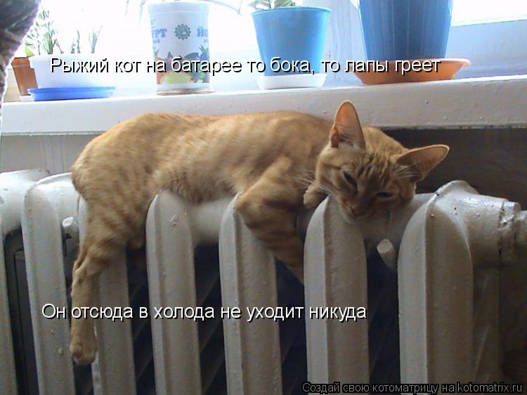 Ура Тепло Пришло Картинки