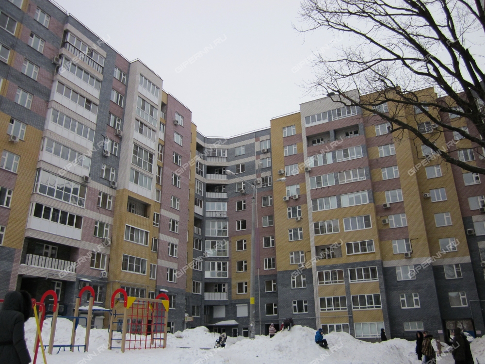 Невзоровых 49 карта