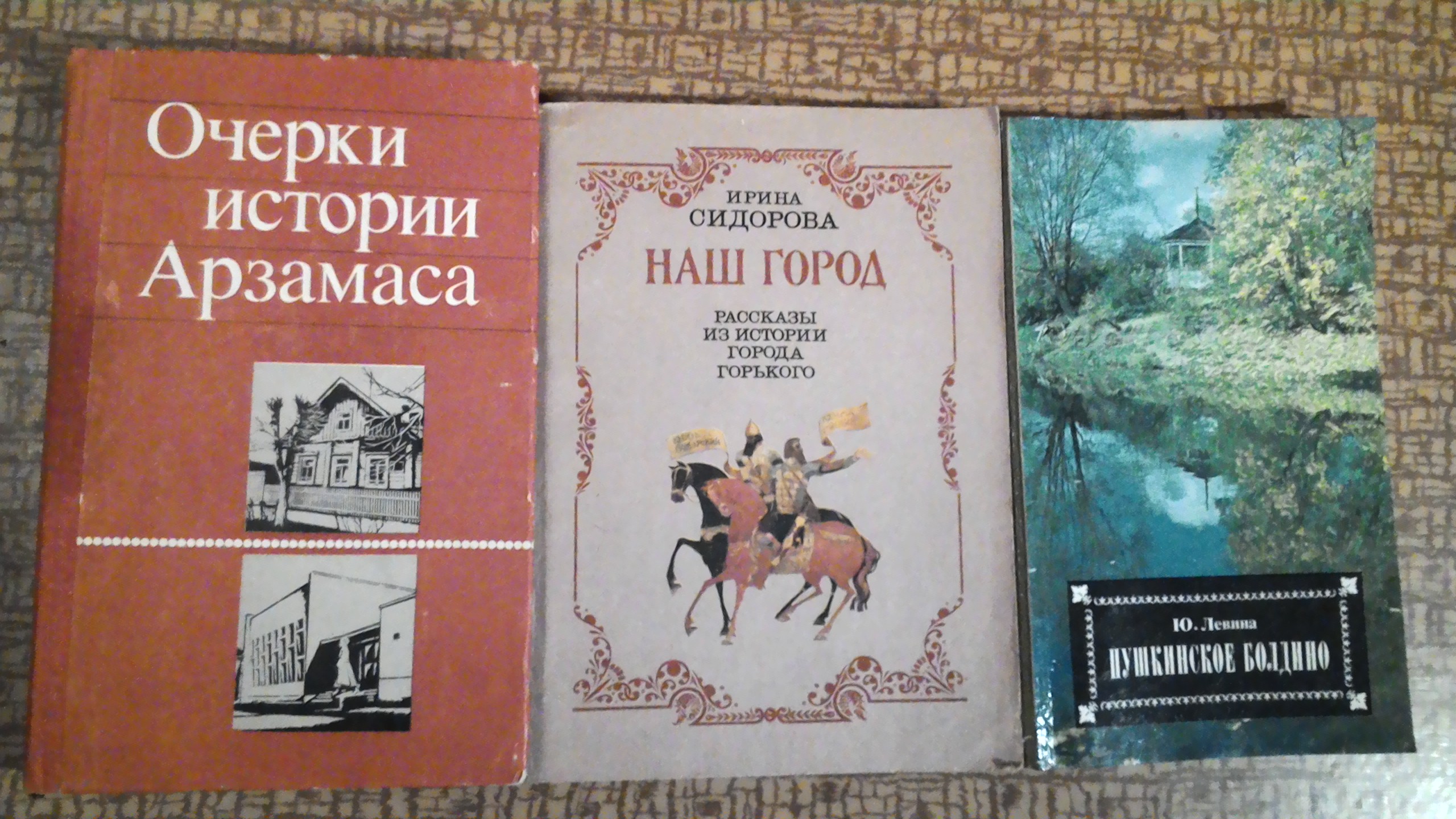 Книга ищущие. История Арзамаса книга. Очерки по истории русской деревни. Найти книгу по описанию. Очерки по истории Башкирии