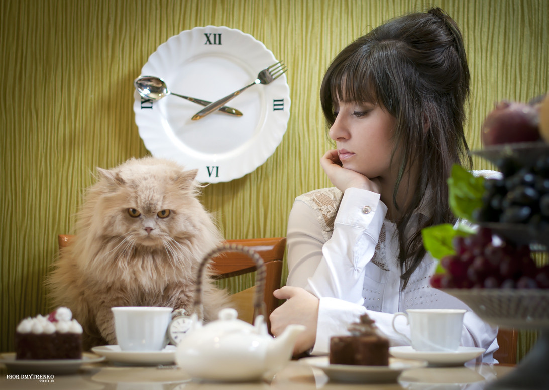Утром принято. Девушка с котом и кофе. Женщина с котом в кухне. Утро девушка кот. Женщина утром.