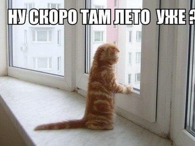 Когда уже тепло будет картинки