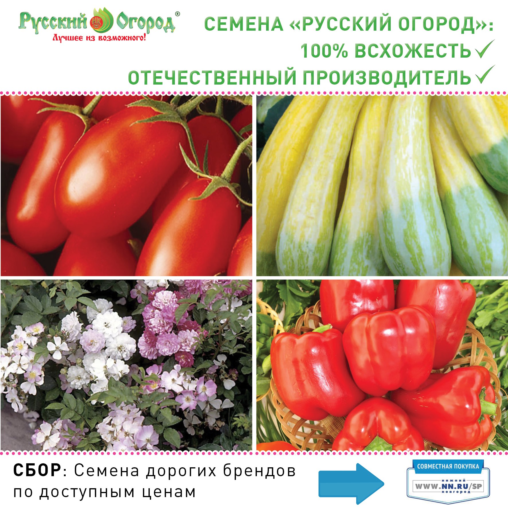 Купить Семена Почтой Русский Огород
