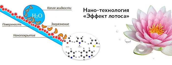 Эффект лотоса проект