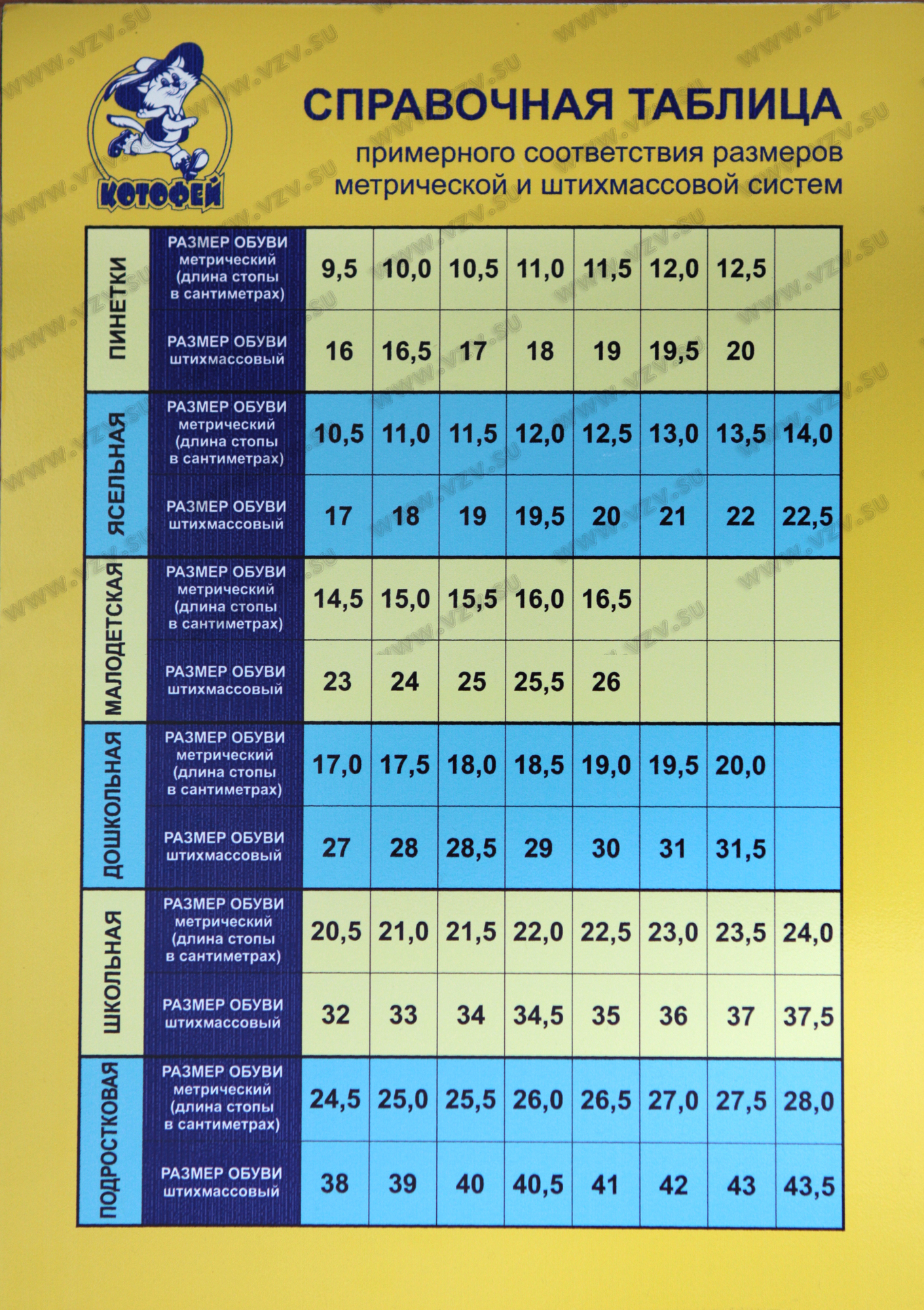 25 См какой размер ноги