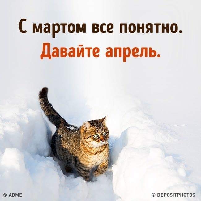 День подходит к концу картинки