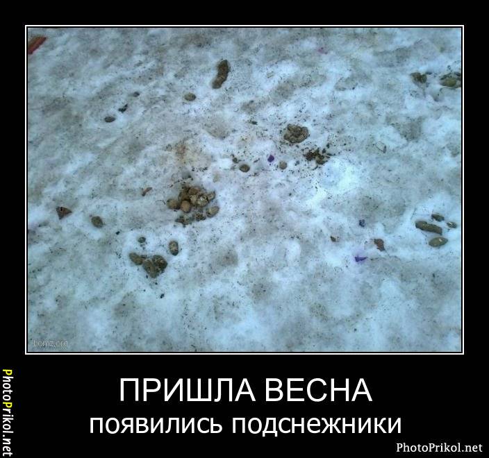 Зима Говно