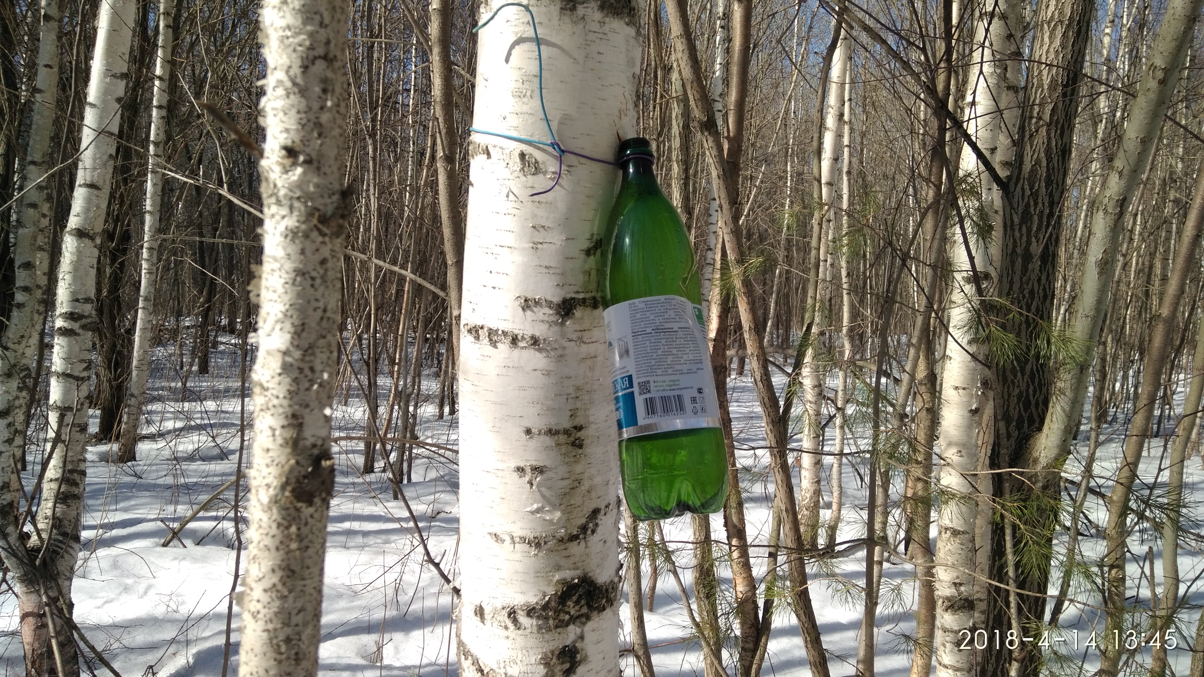 Березовый сок с мякотью картинки