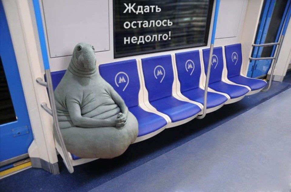 Картинка ждун родов