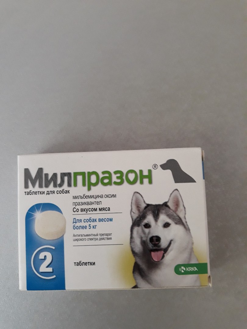Милпразон отзывы