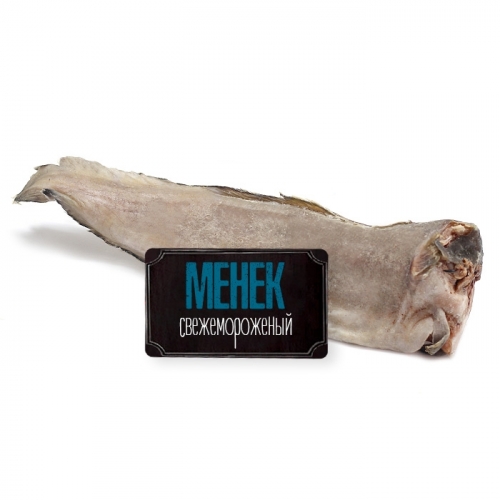Менек Рыба Фото