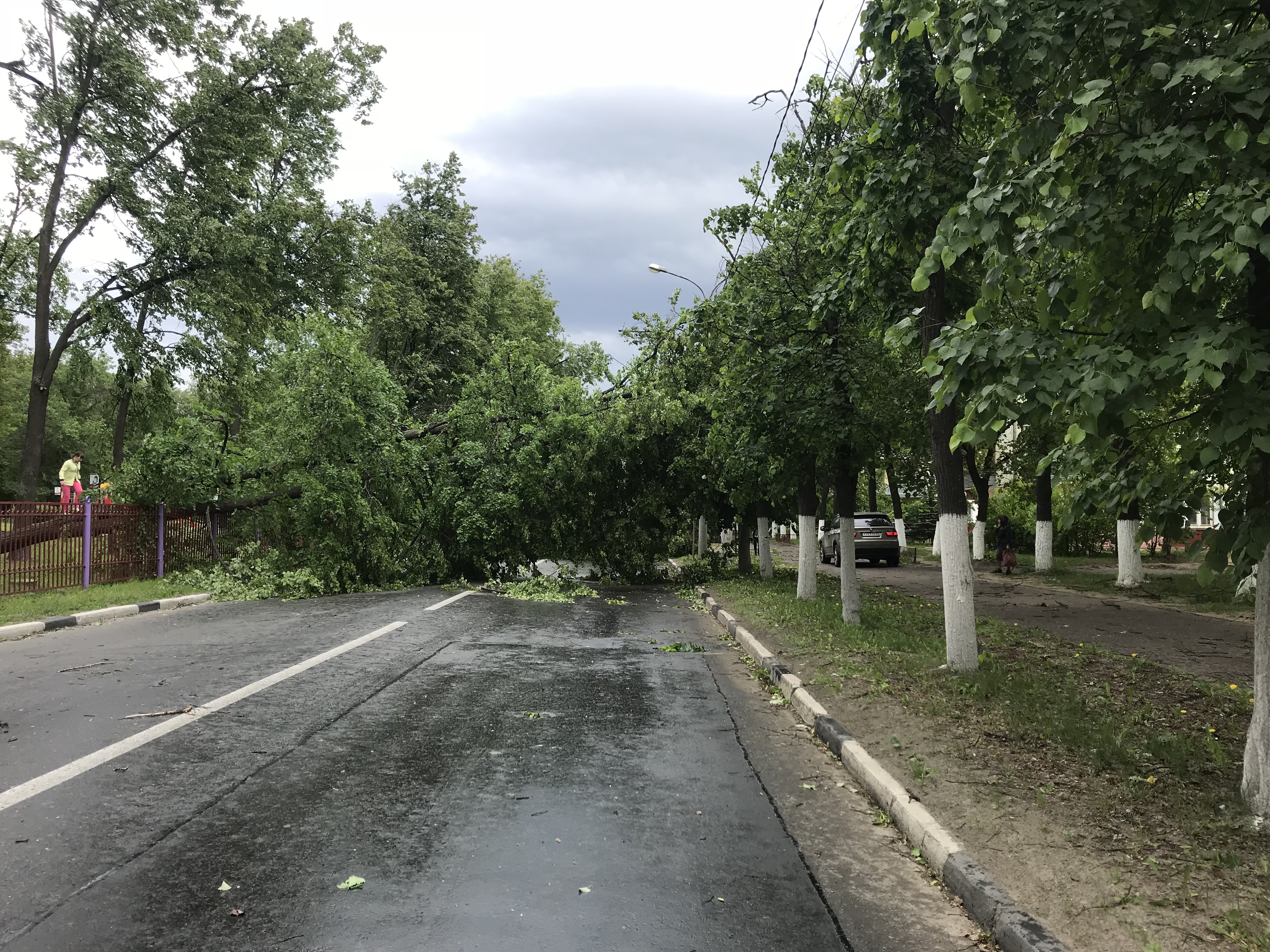 Погода на сегодня в ногинском районе. Погода на сегодня в ногинском районе. Новости ногинска. Какая погода была вчера. Погода в соликамске.