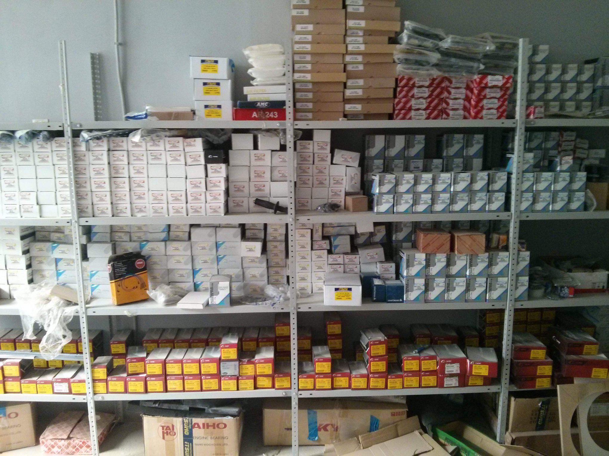 Собака в зоомагазине. Продаются очень. Три котенка. Миниатюрный померанский шпиц. Зоомагазин животные.