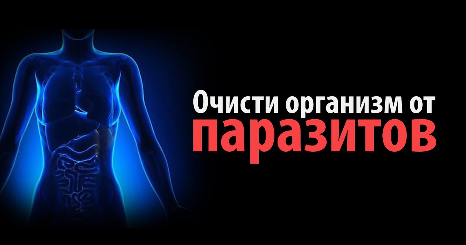 Очищение организма. Очисти организм от паразитов. Очищение организма от глистов и паразитов.