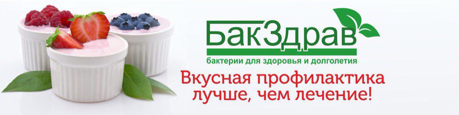 Бакздрав Закваски Купить Интернет