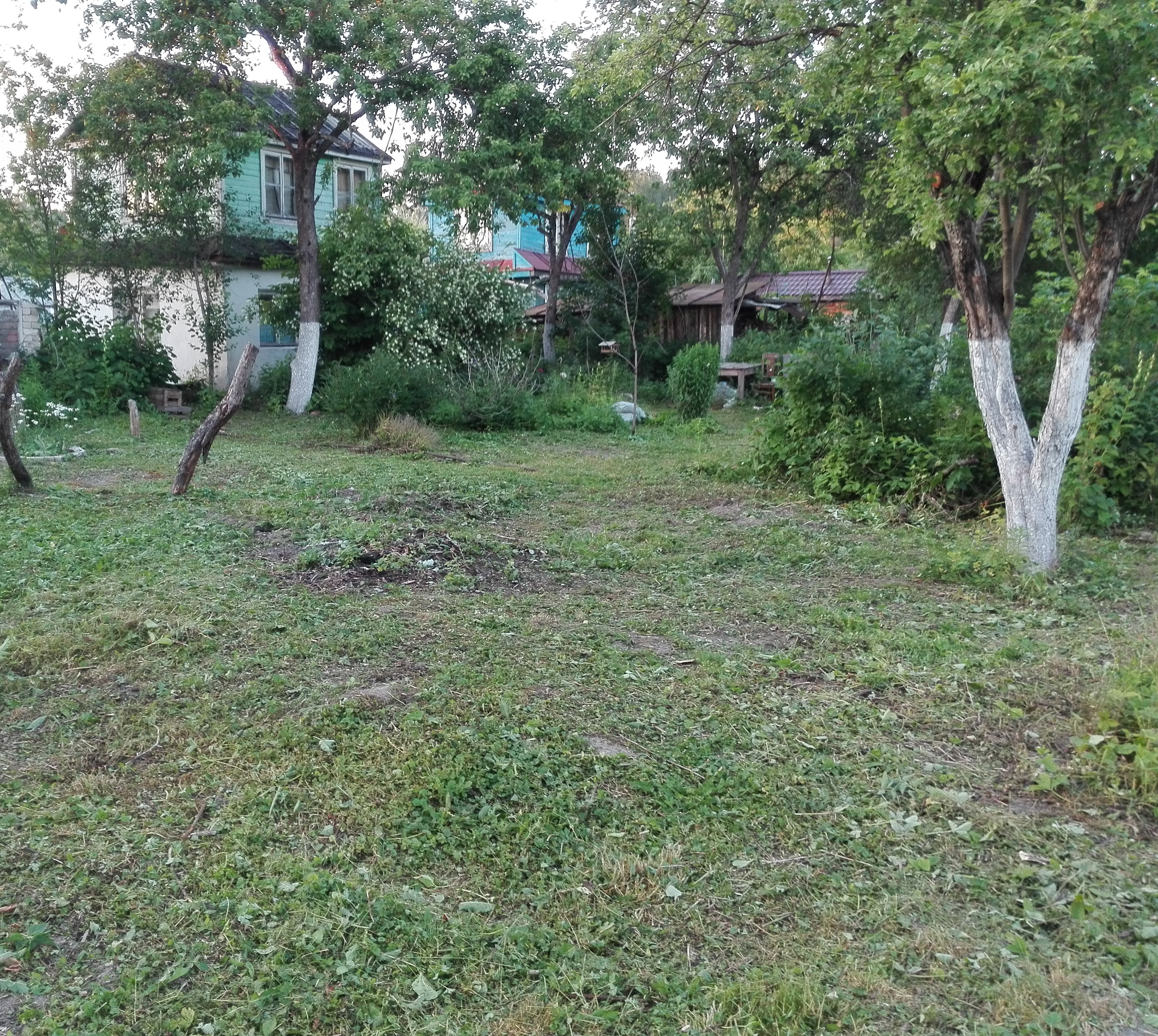 Купить Дачу В Снт Ясная Поляна