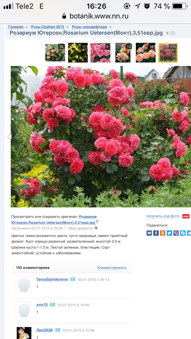 Магазин Садовита В Пензе Каталог Товаров