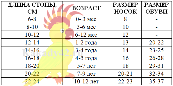 Размер носков для детей таблица по размеру