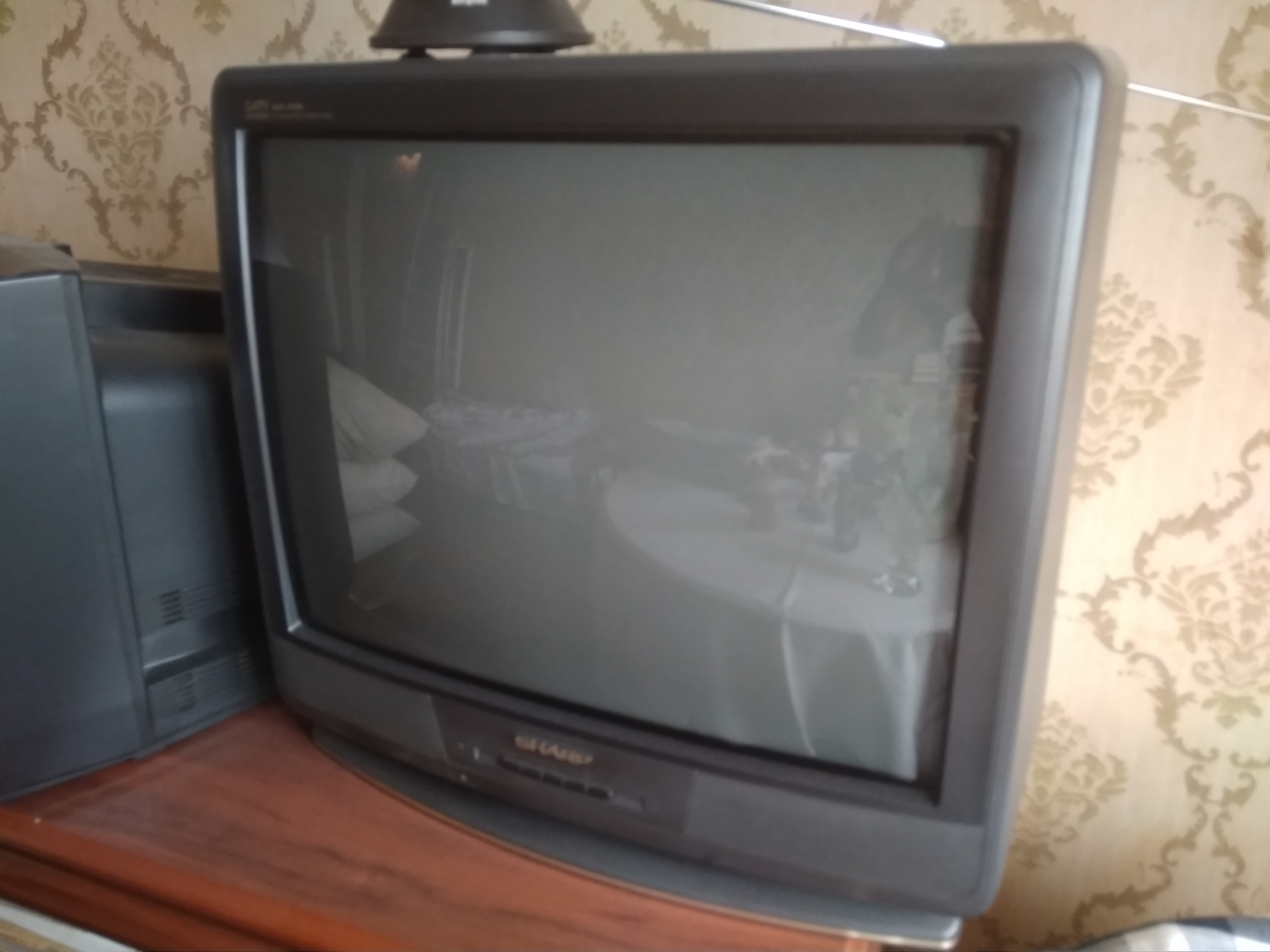 Телевизор Sharp 21d1-g 21