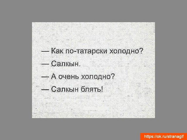 Прикол по татарски картинки