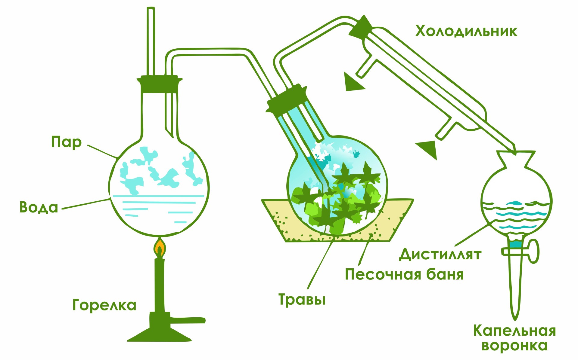 Распространение эфирных масел в природе схема