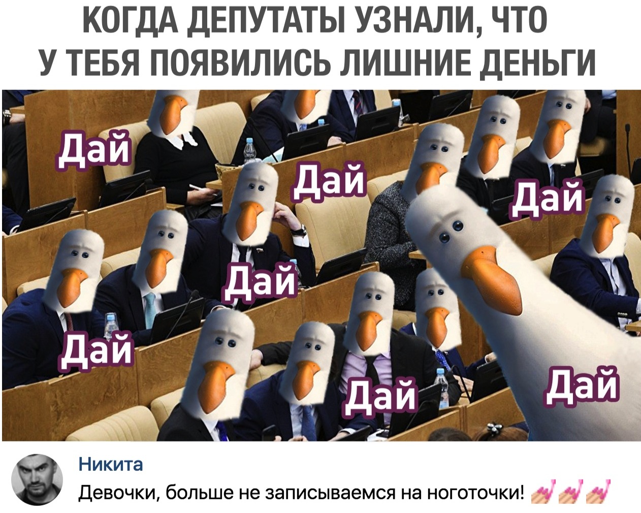 Найди своего депутата. Депутат ноготочки