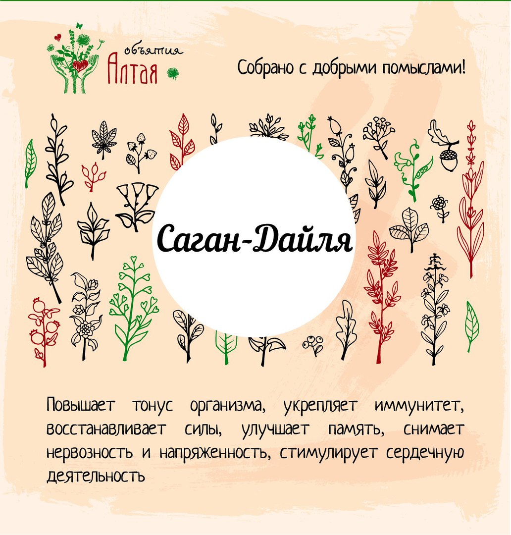 Саган что это и для чего. Саган дайля этикетка. Саган-дайля чай. Трава Саган-дайля польза.