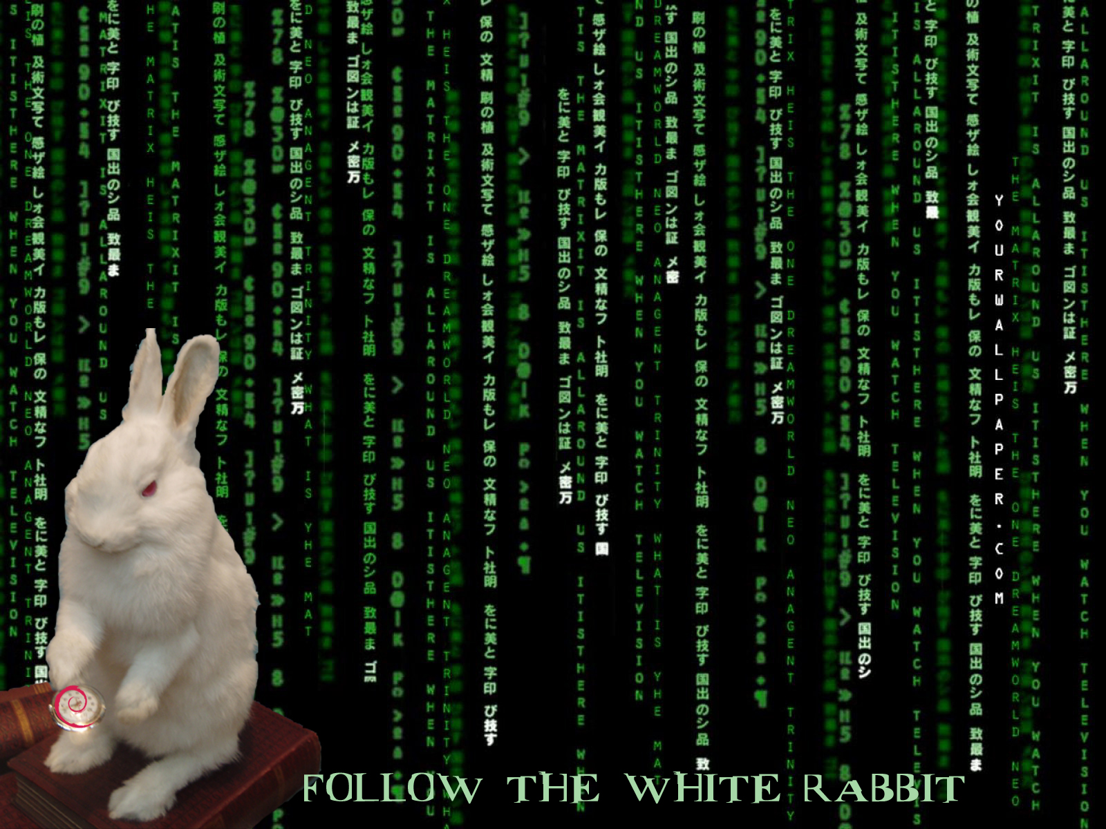 Follow the white rabbit матрица. White rabbit neo. Белый кролик матрица. Нео матрица белый кролик. Следую за белым кроликом.