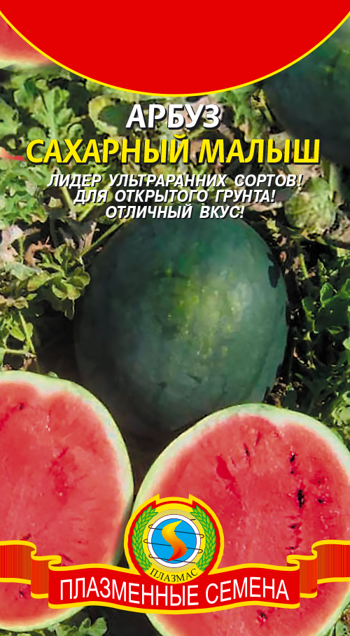 Арбуз Александр Купить Семена