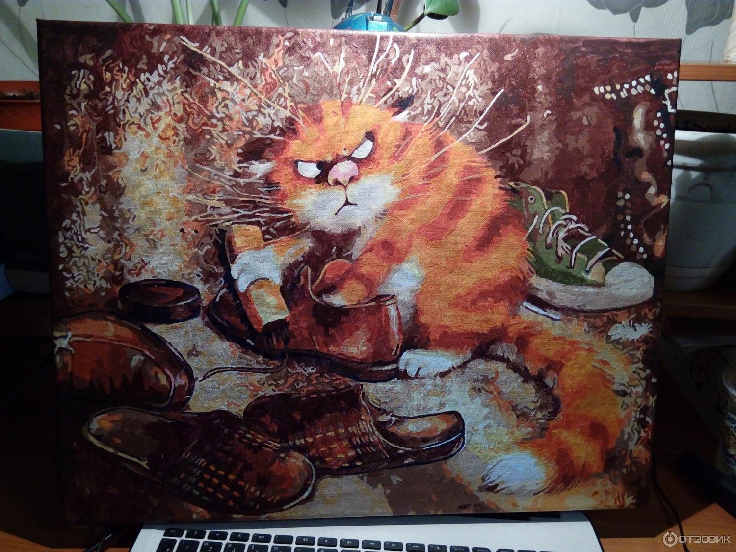 Картинка кот чистит ботинки