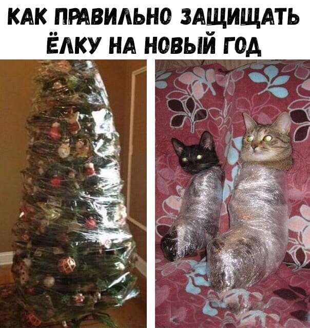 Картинки по запросу картинки ронял ёлку