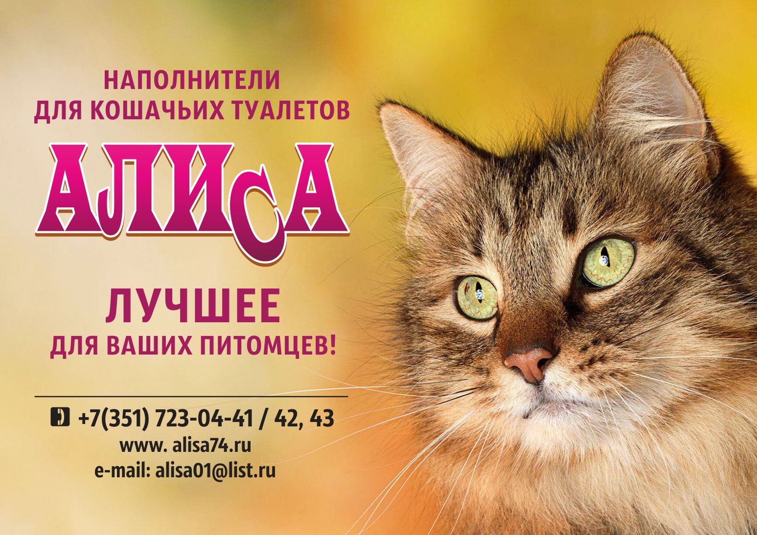 Выставка кошек в туле 2023 парадиз. Алиса74. Наполнитель Алиса баннер. Акции Алиса. Наполнитель Спонсор выставки.