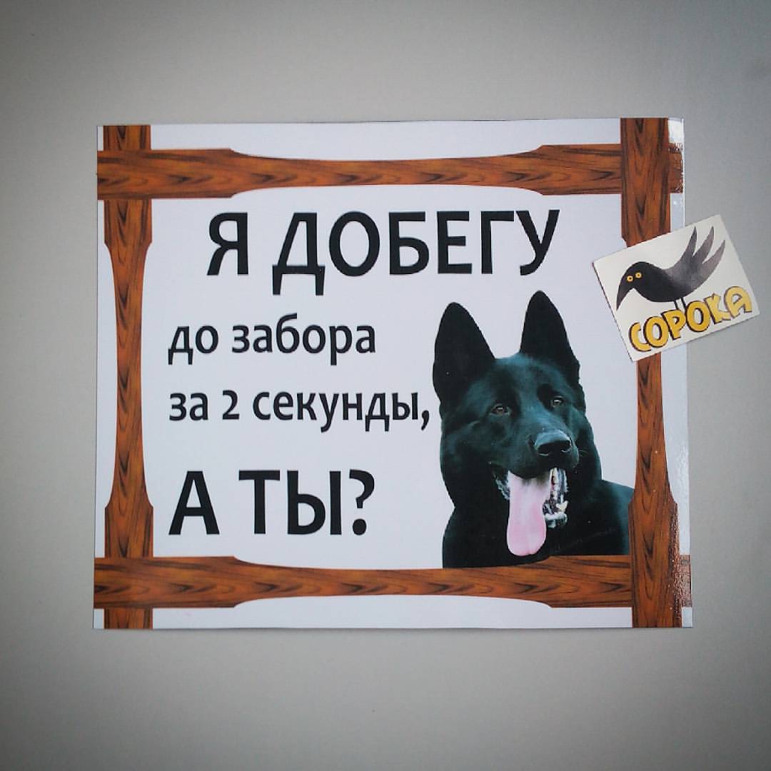 Тема здесь. Таблички я добегу до забора. Я добегу до забора за 2. Я добегу до забора за 2 секунды. Табличка для собак я добегу до забора за 2 секунды.