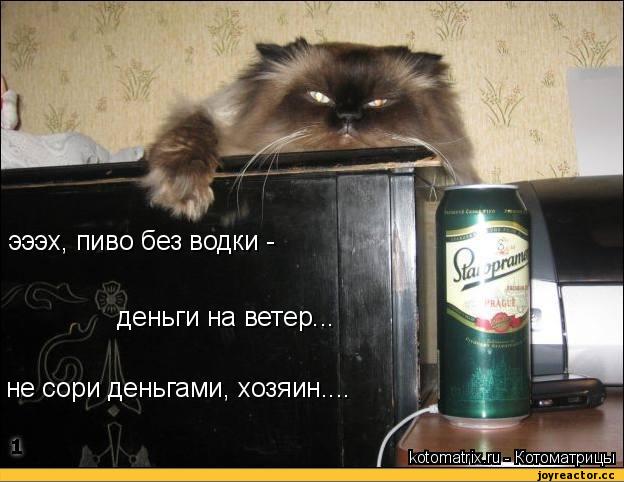 Ветер без денег. Смотрит на тебя как на говно. Ветер без денег. Однако, здравствуйте!. Ветер без денег.
