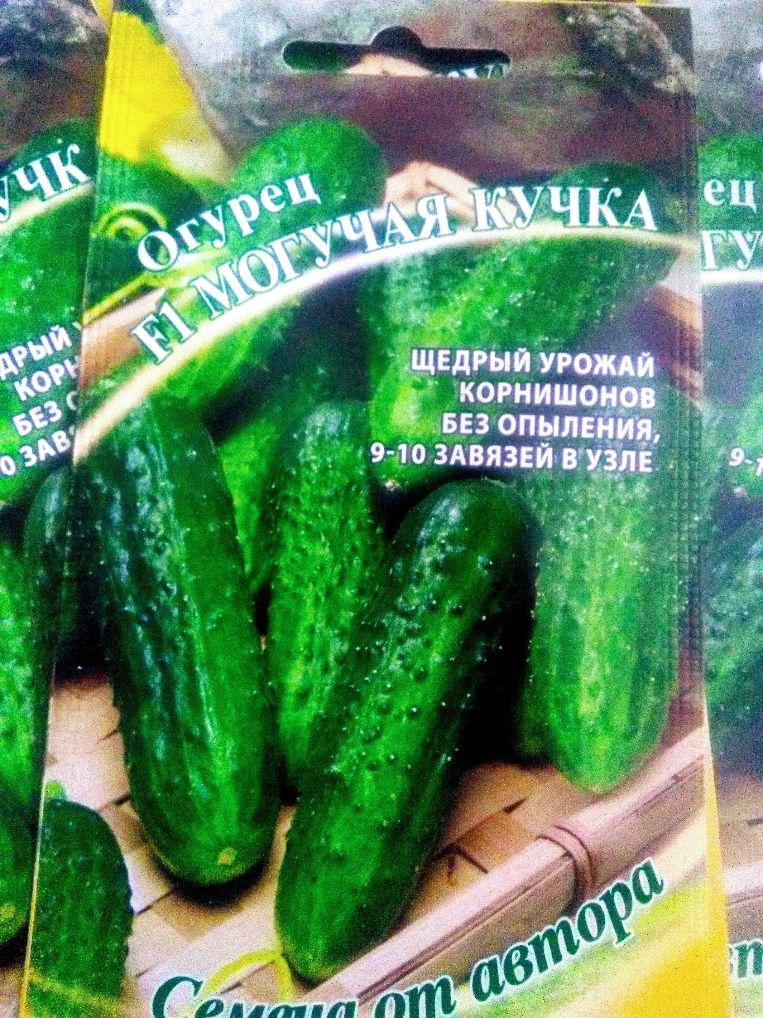 Томат Могучее Вымя Отзывы Фото