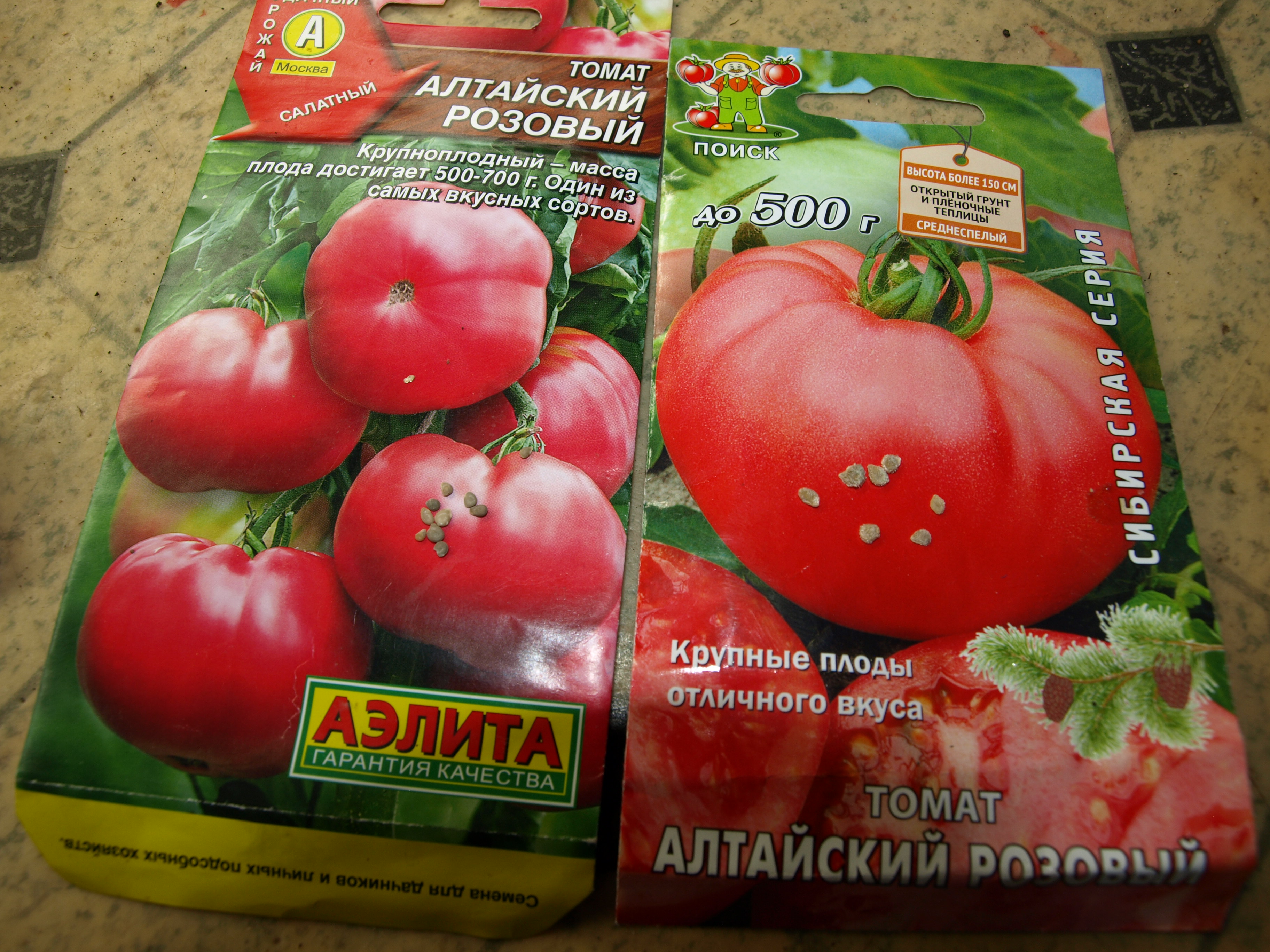 Алтайский розовый отзывы. Помидоры Алтайские крупные. Алтайские помидоры сорта. Помидоры Алтайские длинные.