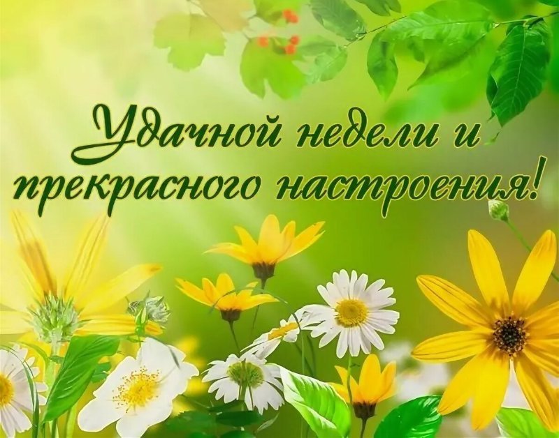 Открытки солнечного понедельника