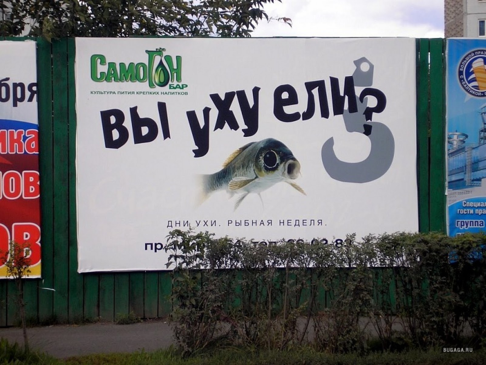 
Картинки Рыбы Нет