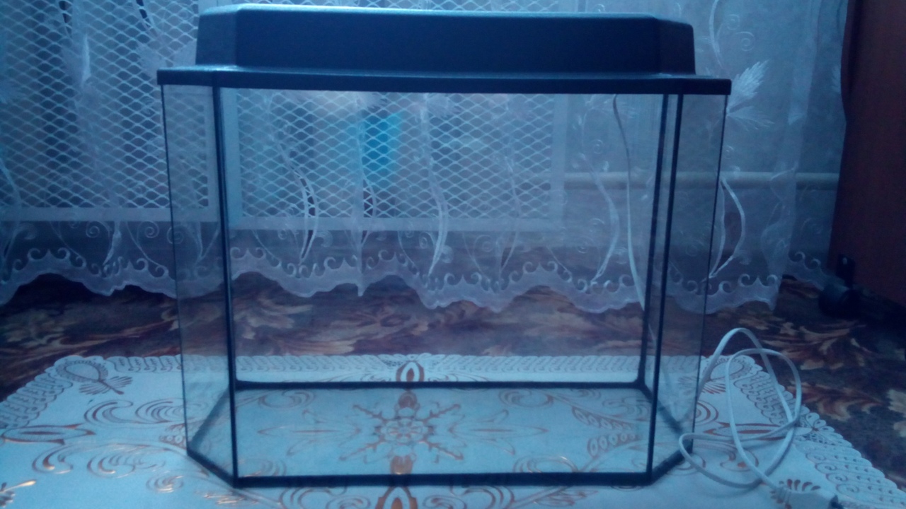 Купить Рыбок Для Аквариума В Екатеринбурге