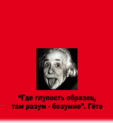 Где глупость образец там разум безумие значение