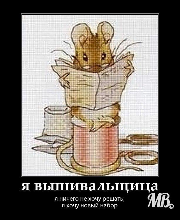 Картинки котики мем вышивка Сбор до 30.06. Наборы для вышивания крестом, бисером, канва в т.ч. дизайнерская.