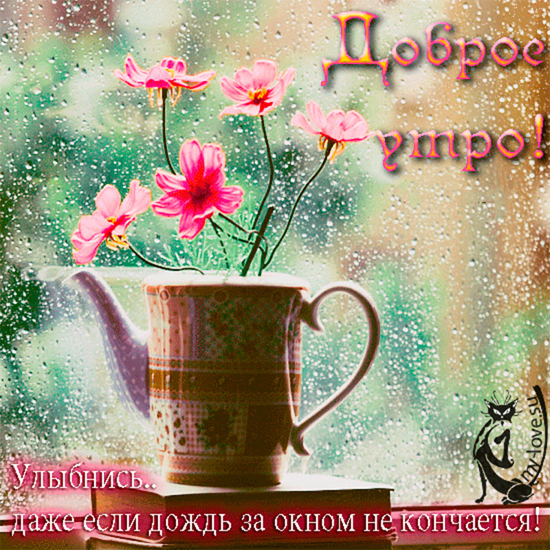 Открытки дню, открытка дождливое доброе утро