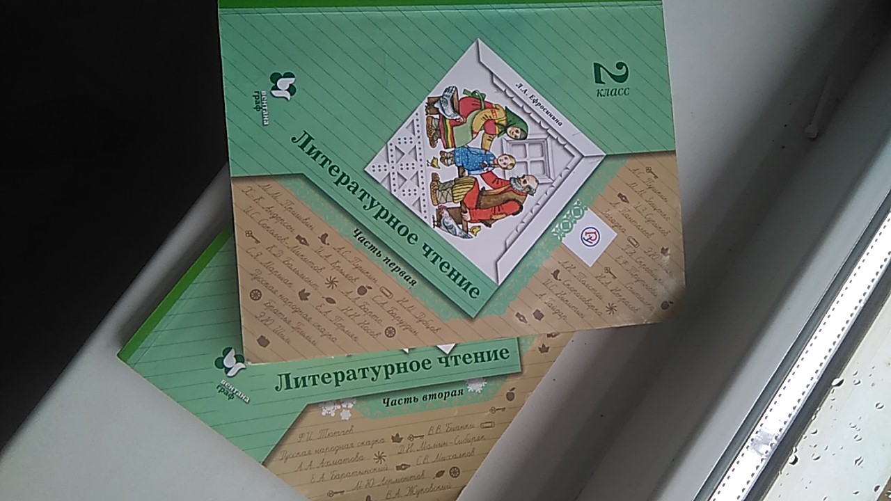 Чтение 2 класс ефросинина. Литературное чтение 2 класс Ефросинина. Л А Ефросинина литературное чтение 2 класс 1 часть. Ефросинина л.а. литературное чтение 2 класс (две части);. Литературное чтение 2 класс, учебник Ефросинина л.а..