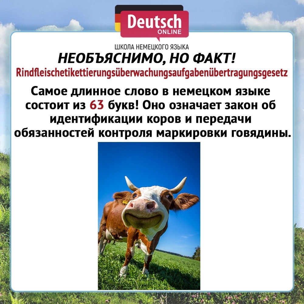 Длинный на немецком языке