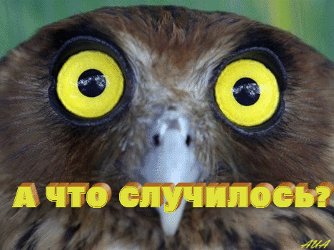 Смешная картинка угу