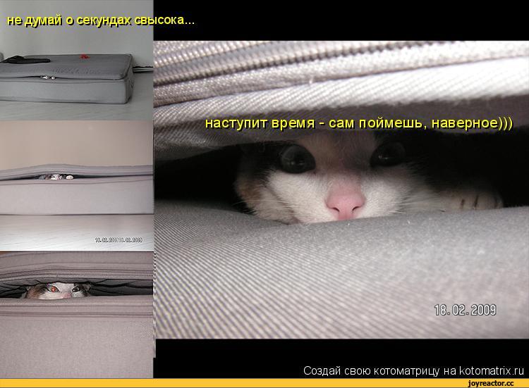 наступит время сам поймешь. не думай о секундах свысока слова. буддизм приколы. не думай о секундах свысока текст песни. наступит время сам поймешь.