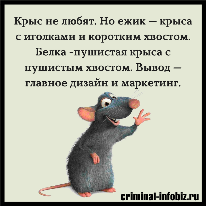 Почему мышь назвали мышью. Фразы про крысятничество. Высказывания про крыс. Цитата крыски. Стих про крысу.