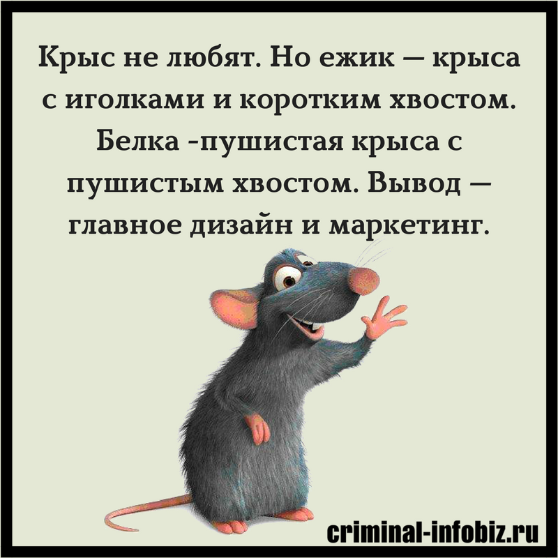 Крыса в коллективе смешные картинки